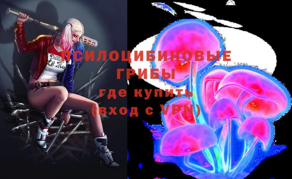 амф Абаза